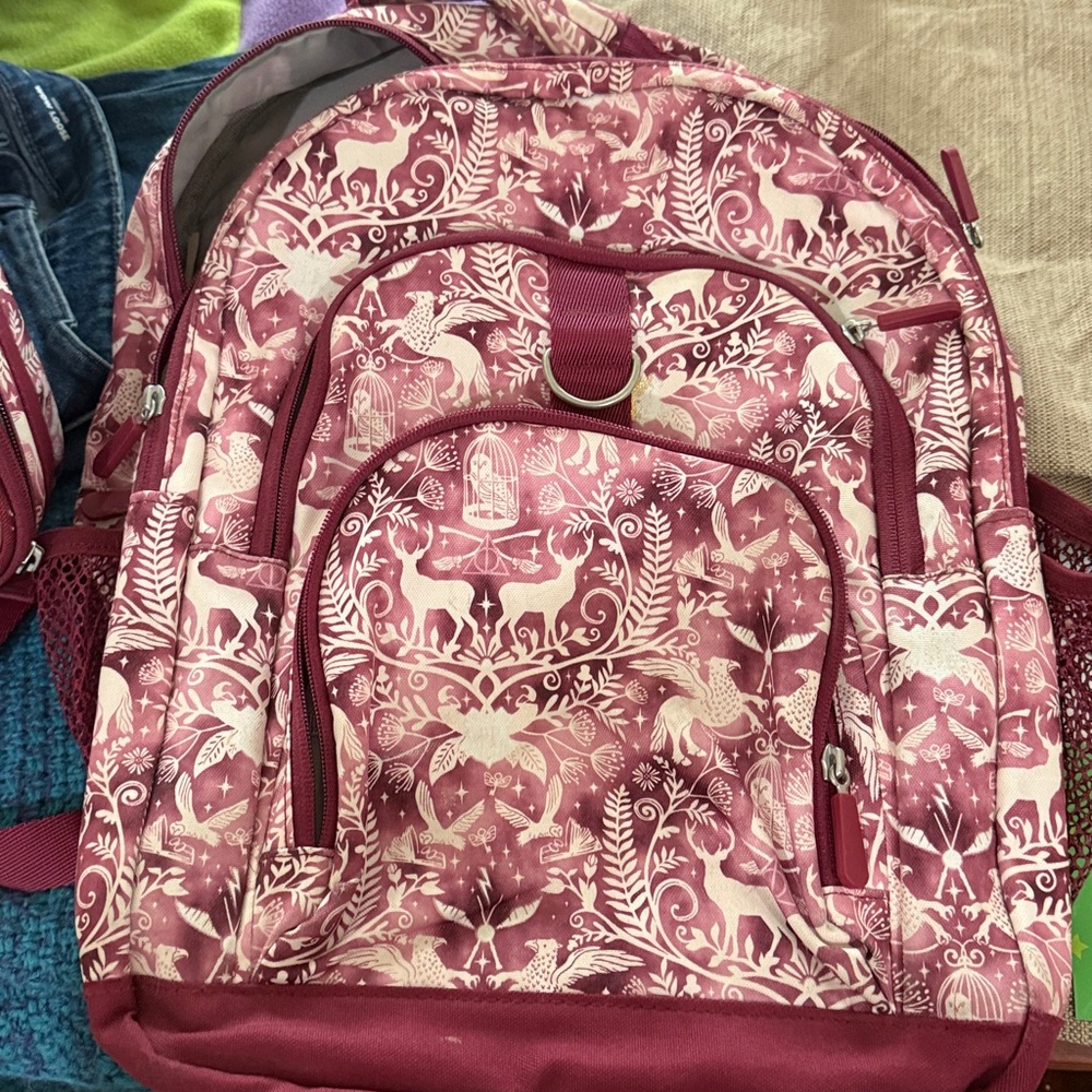 Pottery Barn Teen Harry Potter book bag and lunchbox set